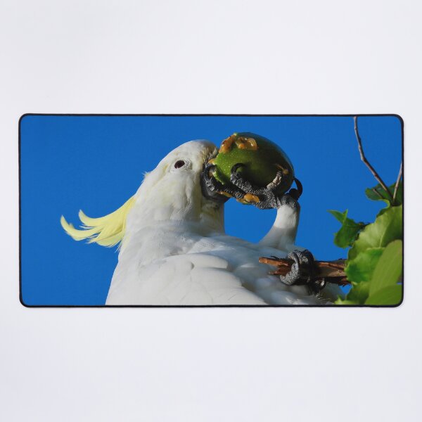 Item preview, Cockatoo V Passion Fruit designed and sold by Mark Grimsley.