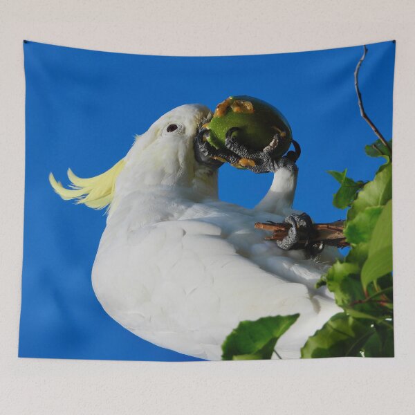 Item preview, Cockatoo V Passion Fruit designed and sold by Mark Grimsley.