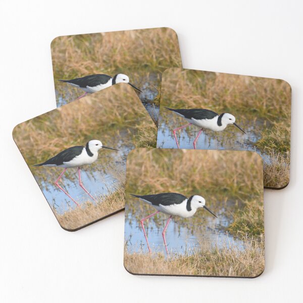 Item preview, Black-winged Stilt designed and sold by Dilshara Hill.
