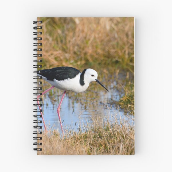 Item preview, Black-winged Stilt designed and sold by Dilshara Hill.