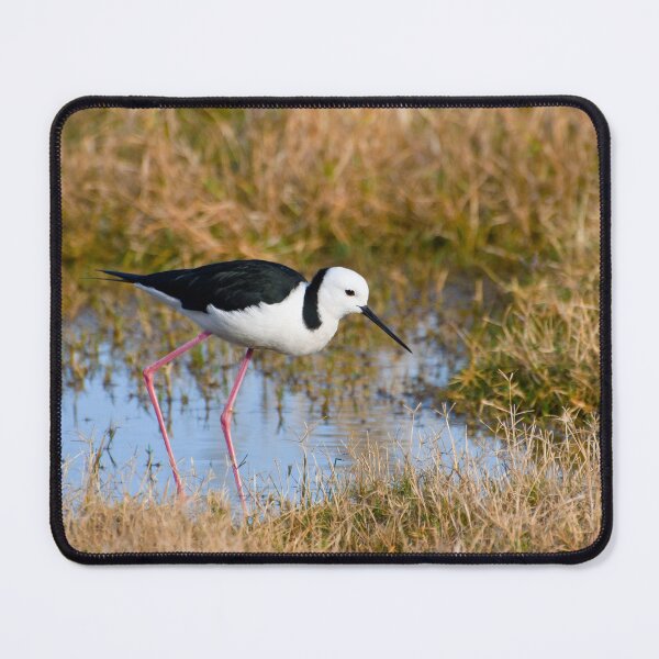 Item preview, Black-winged Stilt designed and sold by Dilshara Hill.