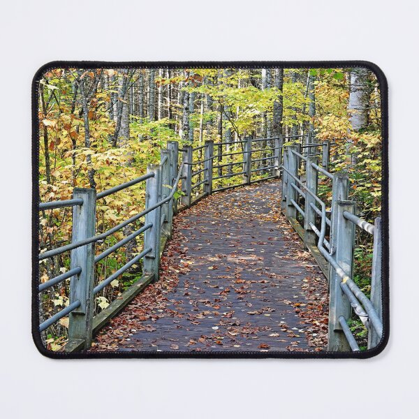 Item preview, Trail to High Falls on the Pigeon River Study 5 designed and sold by Robert Meyers-Lussier.