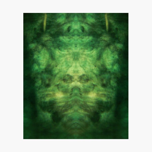 Emerald Wings Photographic Print