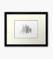 Fragile Framed Print