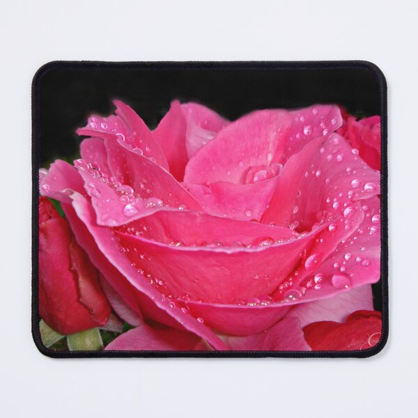 Item preview, "Nestled Next To You" designed and sold by Gail Jones.
