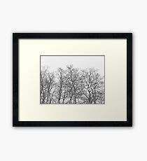 They know it all Framed Print