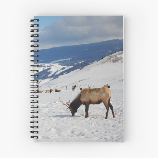 Aperçu de l'œuvre Cerfs dans la neige créée et vendue par JuliaWright.