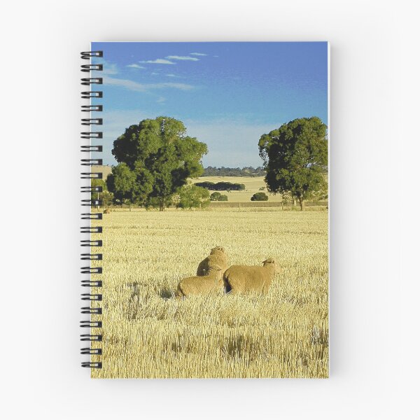 Aperçu de l'œuvre Moutons dans le champ de blé créée et vendue par JuliaWright.
