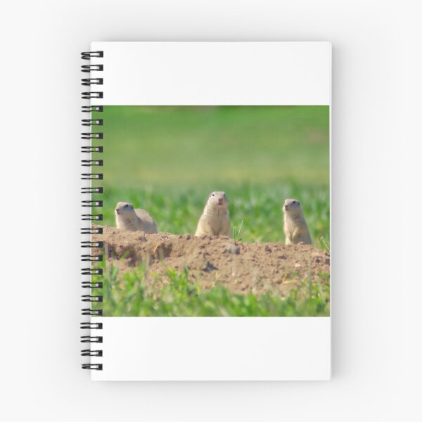 Item preview, Prairie Gophers designed and sold by colorfulbundles.