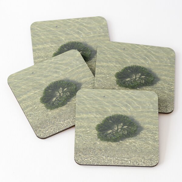 Item preview, Seaweed in the ocean designed and sold by greentiger1.