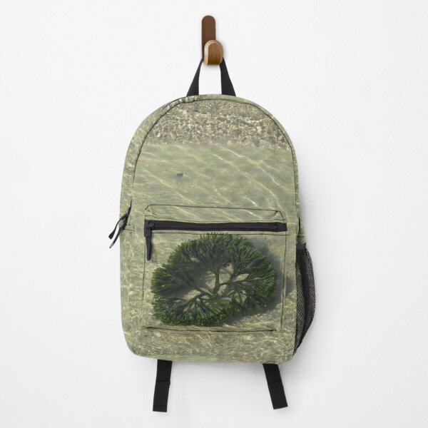 Item preview, Seaweed in the ocean designed and sold by greentiger1.