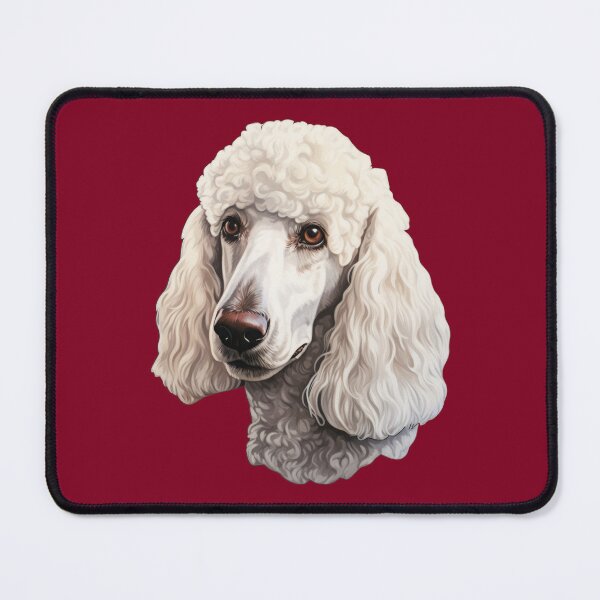 Item preview, Regal White Poodle Stare designed and sold by solrevolver.