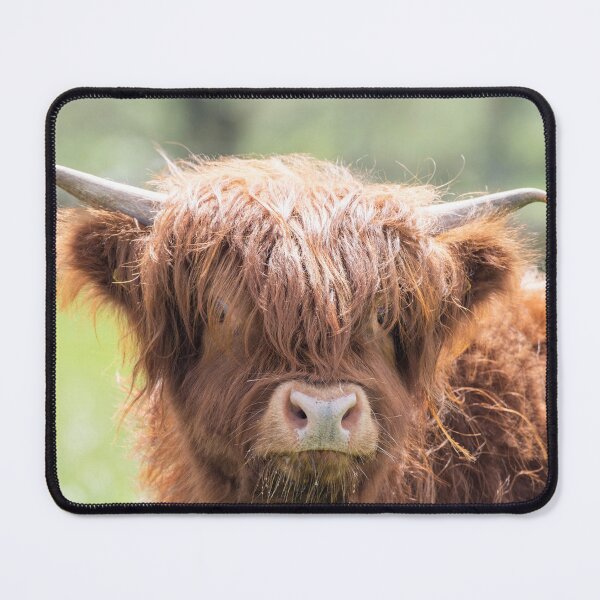 Item preview, Baby Highland Cow designed and sold by angieblue-25.