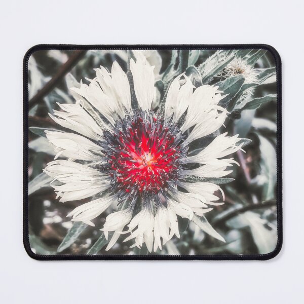 Item preview, Red Noir Knapweed Flower designed and sold by Marco Sales.