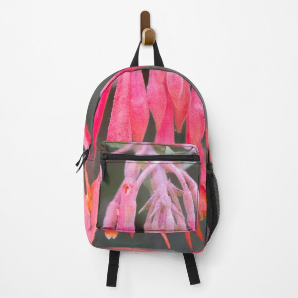 Item preview, Eden Project flowers designed and sold by Dave Hare Photography.