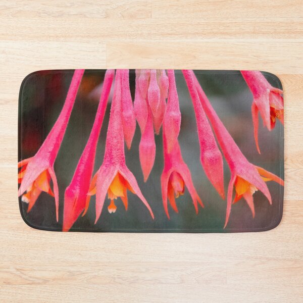 Item preview, Eden Project flowers designed and sold by Dave Hare Photography.