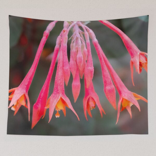 Item preview, Eden Project flowers designed and sold by Dave Hare Photography.