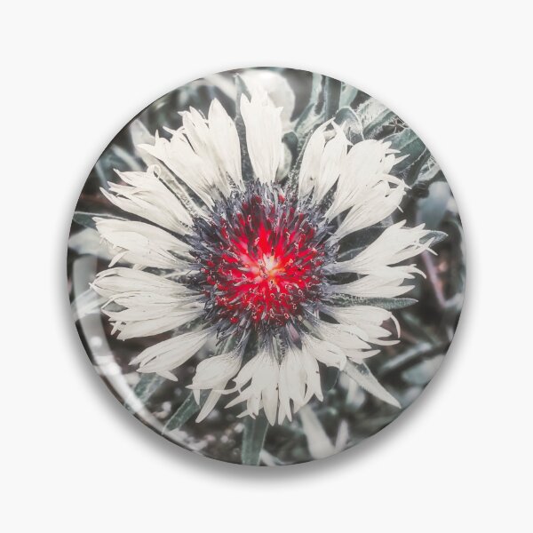 Item preview, Red Noir Knapweed Flower designed and sold by Marco Sales.