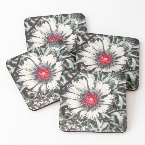 Item preview, Red Noir Knapweed Flower designed and sold by Marco Sales.