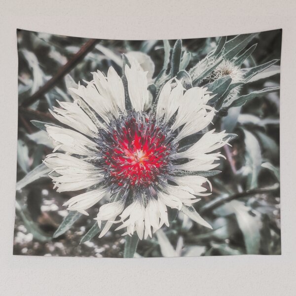 Item preview, Red Noir Knapweed Flower designed and sold by Marco Sales.