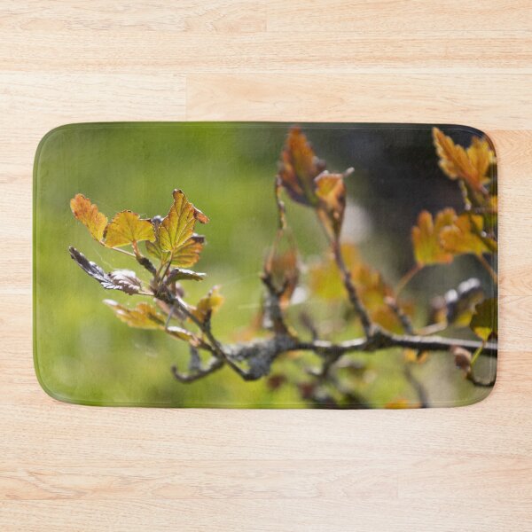 Item preview, Gooseberry Twig designed and sold by Calidris Fotografie Steffi & Ben Köppler.