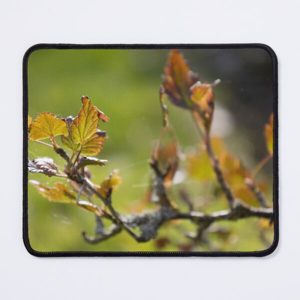 Item preview, Gooseberry Twig designed and sold by Calidris Fotografie Steffi & Ben Köppler.