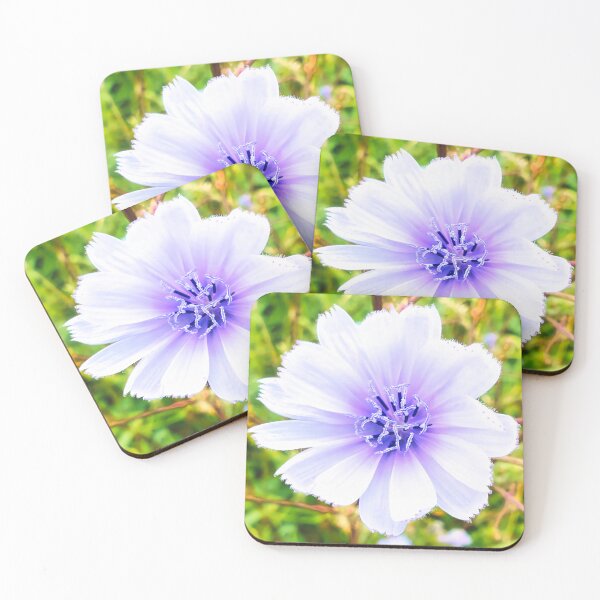 Item preview, Cichorium Endivia Blossom designed and sold by Marco Sales.