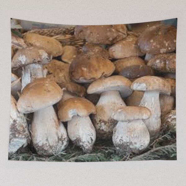 Item preview, edible mushrooms designed and sold by nigejohn.