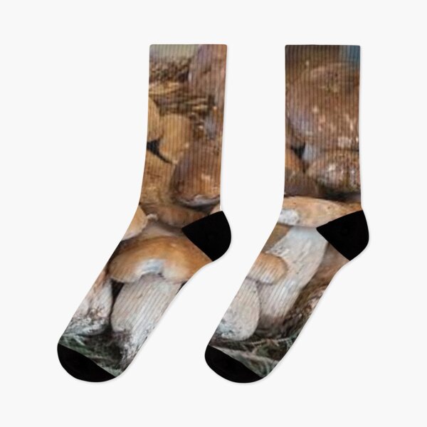 Item preview, edible mushrooms designed and sold by nigejohn.
