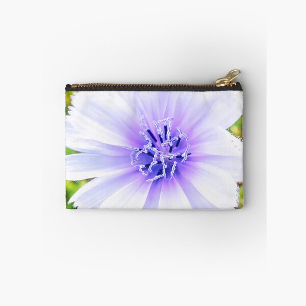 Item preview, Cichorium Endivia Blossom designed and sold by Marco Sales.