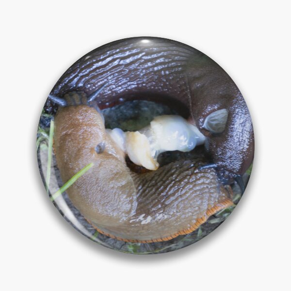 Item preview, Roundback Slugs designed and sold by Calidris Fotografie Steffi & Ben Köppler.