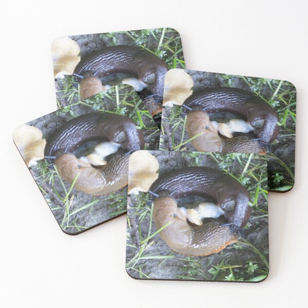 Item preview, Roundback Slugs designed and sold by Calidris Fotografie Steffi & Ben Köppler.