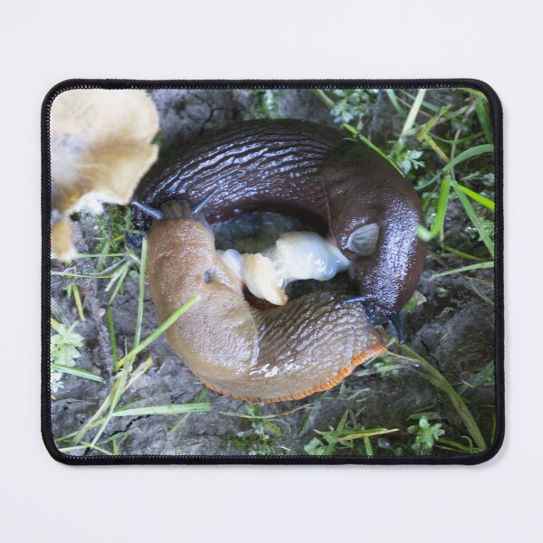 Item preview, Roundback Slugs designed and sold by Calidris Fotografie Steffi & Ben Köppler.