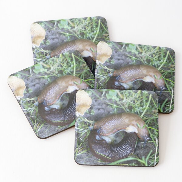 Item preview, Roundback Slugs designed and sold by Calidris Fotografie Steffi & Ben Köppler.