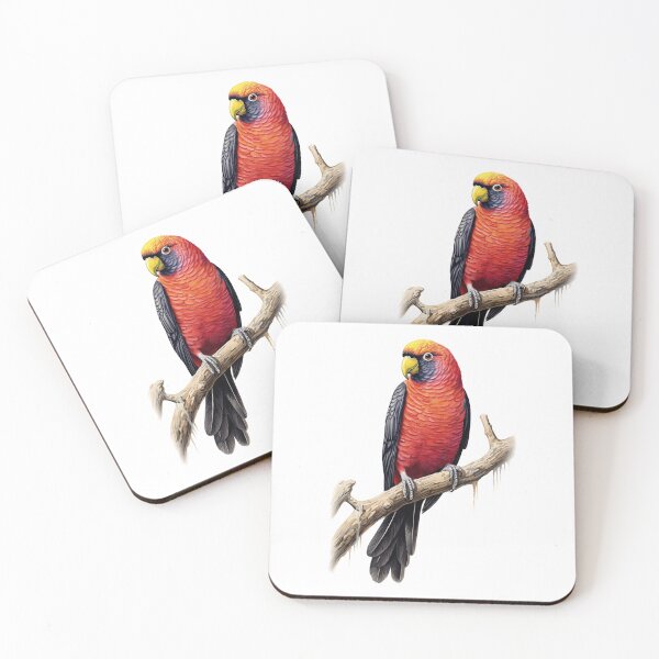 Item preview, The A-Z of World Birds : Dusky Lory designed and sold by Promankur.