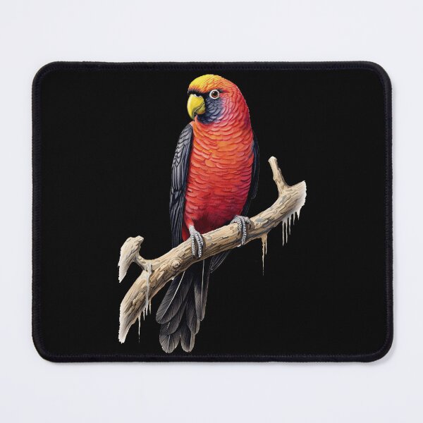 Item preview, The A-Z of World Birds : Dusky Lory designed and sold by Promankur.