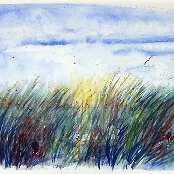 Artwork thumbnail, Sunset Reeds - Watercolour by Paul Gilbert