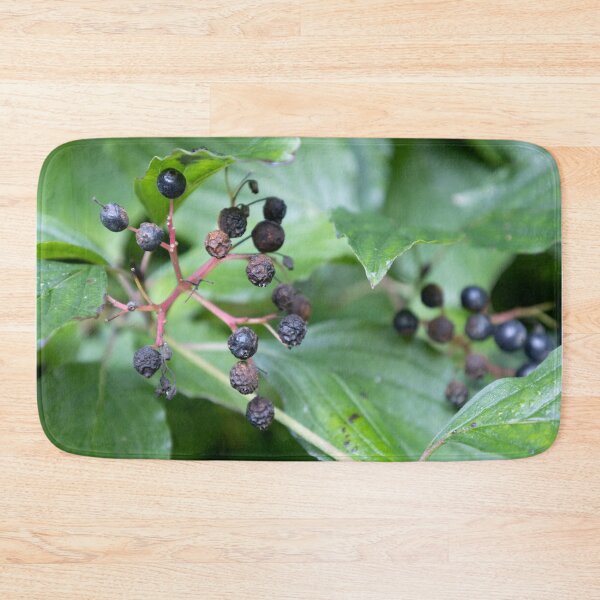 Item preview, Common Dogwood designed and sold by Calidris Fotografie Steffi & Ben Köppler.
