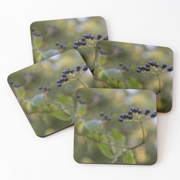 Item preview, Wayfaring Tree designed and sold by Calidris Fotografie Steffi & Ben Köppler.