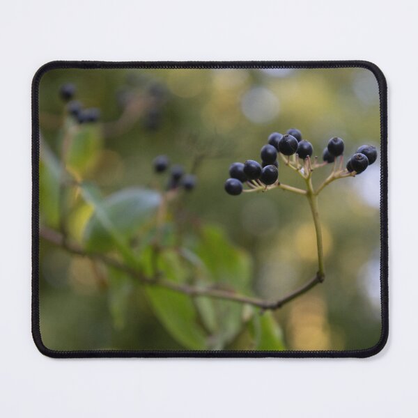 Item preview, Wayfaring Tree designed and sold by Calidris Fotografie Steffi & Ben Köppler.