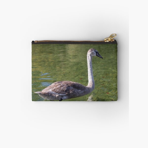 Item preview, Young Mute Swan designed and sold by Calidris Fotografie Steffi & Ben Köppler.