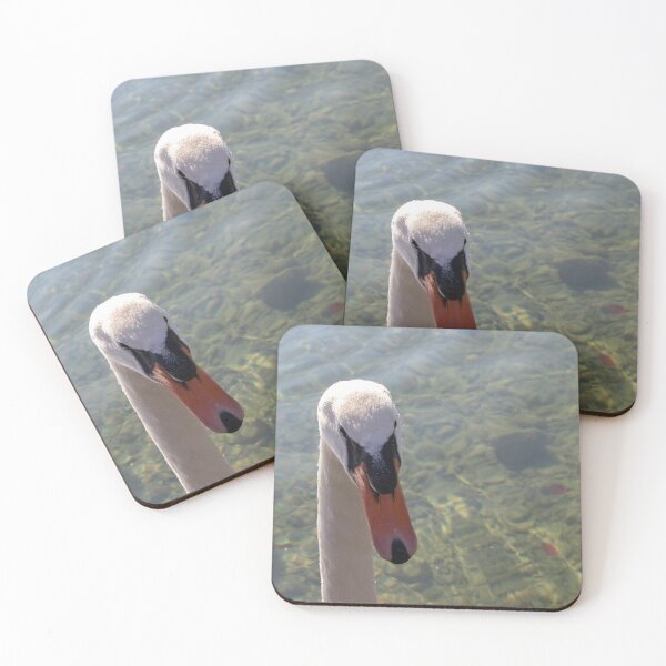 Item preview, Mute Swan designed and sold by Calidris Fotografie Steffi & Ben Köppler.