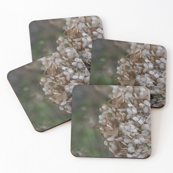 Item preview, Dried hydrangea flower photography detail designed and sold by thesuspire.