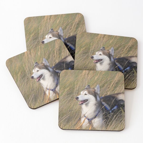 Item preview, Husky designed and sold by Calidris Fotografie Steffi & Ben Köppler.