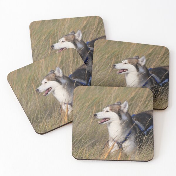 Item preview, Husky designed and sold by Calidris Fotografie Steffi & Ben Köppler.