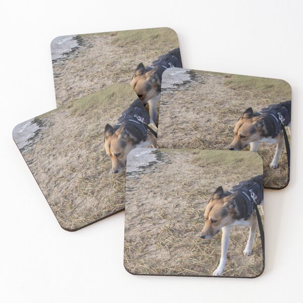 Item preview, The Dog and the Sea designed and sold by Calidris Fotografie Steffi & Ben Köppler.