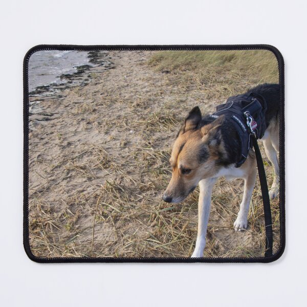 Item preview, The Dog and the Sea designed and sold by Calidris Fotografie Steffi & Ben Köppler.