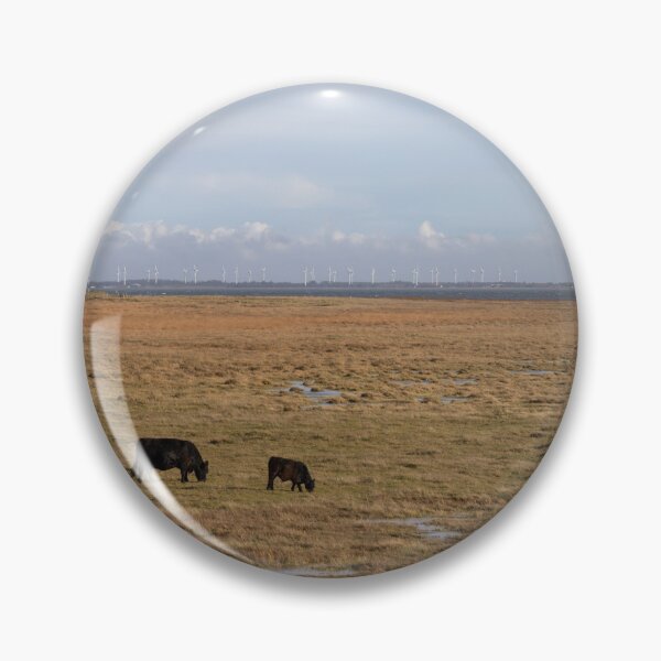 Artikelvorschau, Galloway Rinder entworfen und verkauft von Calidris Fotografie Steffi & Ben Köppler.