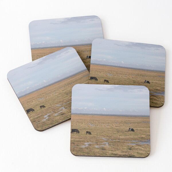 Item preview, Galloway Cattle designed and sold by Calidris Fotografie Steffi & Ben Köppler.