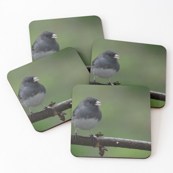 Item preview, A junco bird on a branch in the garden designed and sold by Claude Laprise.